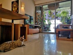 Bluwaters 2 (D17), Condominium #503421121